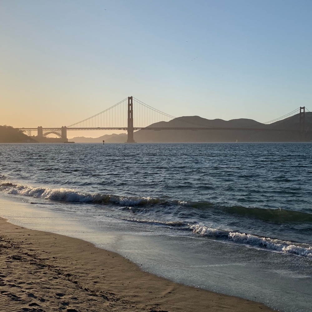 Meet your Posher, Ivy